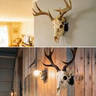 European Mount Skull Hanger  Large Euro Mount Deer Skull Hangers For Deer Head 
