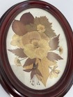 Vintage Pressed Flowers Wall Art Set Of 2 Oval Frames  Dried Floral Decor