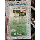 Senna Garcinia Infusion Dietary Slimming Skinny Fit Weight Loss Detox Good Shape