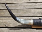 Vintage 31  Longhorn Steer Horns Wall Mount Alligator Print Leather Western Bull
