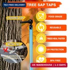 Maple Syrup Tree Tapping Kit With 8l Bags  10 Maple Sap Taps  10 Bags