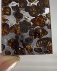 Sericho Pallasite Meteorite Pendant Olive Iron Meteorite - From Kenya Necklace
