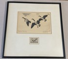 Framed Rw3 1936 Signed Federal Duck Stamp Print With Stamp  By Richard Bishop