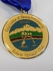 Ivv Ava Medal Pin Volkssport Walking Club Auburn Optimists Club Celebration 1986
