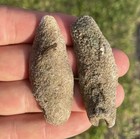 Agatized Coral Geode From Tampa Florida 2 Split Pieces