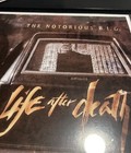      Biggie    life After Death    Framed Vinyl     28x22 Rap Memorabilia    