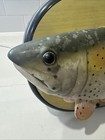 Rocky Rainbow Trout Singing Fish Motion Activated Wall For Parts