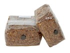 Premium 5-grain Mushroom Spawn Bags   Sterilized Grain Bags   Injection Ports
