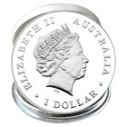 2018 Samoyed Dog Coin Silver Plated Commemorative Medal Year Of The Dog Gift