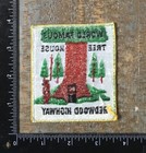 Vintage World Famous Tree House Redwood Highway California Travel Souvenir Patch