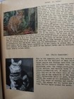 Vintage 1940s Completed Scrapbook Featuring Different Animals