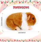 Aoriher 2 Pcs Cute Guinea Pig Stuffed Animal 8 Inch Soft Guinea Pig Plush Toy   