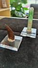 Geo-tac Mineral And Fossil Mounting Display Putty