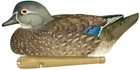 Avian X Top Flight Duck Decoy  Wood Duck Floater 6 Pk   8083  Avx-avx8083
