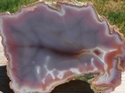 Tcr Swazi Agate jasper lapidary Polished Slab 185 Grams