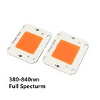 50w Warm White  white Cool White High Power 12v 32v Cob Led Chip Grow Light