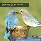 11lbs Non-gmo Dried Mealworms Fit Wild Bird Food Treats Chickens Reptile Turtles