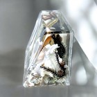 Vintage 1980s Retro Florida Souvenir Thermometer   Paperweight Shells Desktop