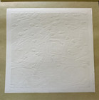 Yang Yongsheng  spring  Original Woodblock Print  6 20 