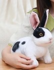 White Black Bunny Rabbit Plush Toy 8  Stuffed Animal Toddler Doll Gift For Kids