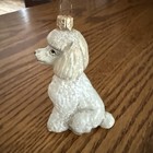 White Toy Poodle Dog Blow Glass Joy To The World Collection Christmas Ornament