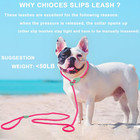 Dog Training Leash Slip Leads For Dogs 6 Ft Slip Leash For Dogs Dog Lead With 6