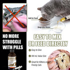 Tapeworm Dewormer For Cats   Kittens     Praziquantel Liquid 100 Ml For Cats 6 Wee