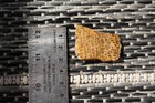 Beautiful Polished Texas Eocene Petrified Wood Cab W  Pocket Rot
