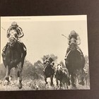 Secretariat 5 Photos Lot Horse Racing 1973 Kentucky Derby