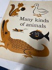 Vintage 1960s Animal Posters Educational Child Boy Girl Decor Wall Art Set Of 12
