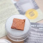 Metropolitan Opera House Brick Fragment