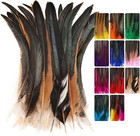 Colorful Rooster Tail Feathers-50pc 10-12inch Natural Long Rooster Tail Feathers