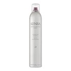 Medium Hold Hairspray Fast Drying High Shine 10 Ounce Styling Control