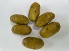 Artificial Baking Potato Decorative Fake Vegetable Spud Bag Of 6 Idaho