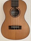 Cordoba 24c Concert Ukulele Solid Spruce Top Spalted Maple Back Matt Finish   B