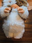 Gremlins 2 Model Number Gizmo Collection Doll Gremlins Jun Planning Japan F s