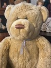 Haunted Plush Doll Garveth Grumpy Guardian Spirit Active Large Bear 21 