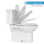 Toilet Seat  Elongated Toilet Seat With Toddler Seat Built In  Potty Training   