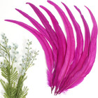 50pcs Rooster Coque Tail Feathers Bulk Natural 30-35cm For 12-14inch Hot Pink