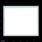 Old Vintage Photo Men Sitting In Room