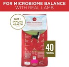 Purina One Natural Smart Blend Lamb   Rice Formula Dry Dog Food 40lb Free Ship