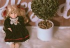 Haunted Doll Djinn-fairy Hybrid Fame  Ascension wealth  transformation