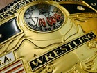 Nwa Domed Globe World Heavyweight Championship Belt Adult Size Replica 6mm Zinc