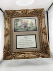 Memorial Gift Picture Frames  Sympathy Gifts For Loss  Bereavement Gifts