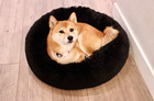 Donut Plush Pet Dog Cat Bed Fluffy Soft Warm Calming Bed Sleeping Kennel Nest