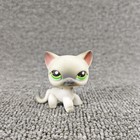 125 Rare Littlest Pet Shop Gray Short Hair Cat Kitty Green Eye Pink Ears Lps