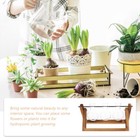 Glass Bulb Vase Air Plant Pots Water Plant Terrarium Planter