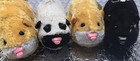Zhu Zhu Pets Hamsters Zuzu Animated Animals Lot 4 All Tested Working 2008 Read
