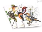 Field Notes Birds And Trees Of North America Memo Books - Pack B - 3 5  X 5 5 