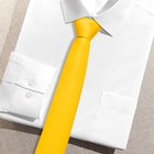 Boys Black Tie Satin Solid Color Necktie For Teen Wedding School Yellow
